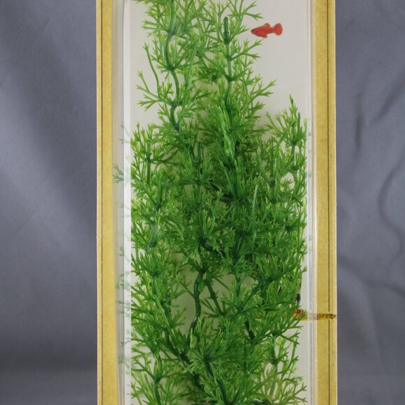 Vintage Aquarium Plant - Stonewort by Penn Plax - New In Package - Picture 3 of 7